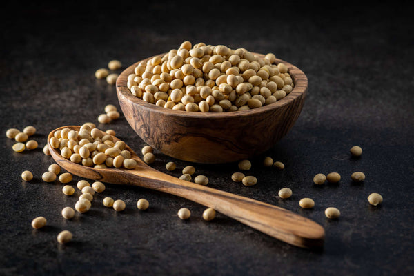Bir kaptaki kurutulmuş soya