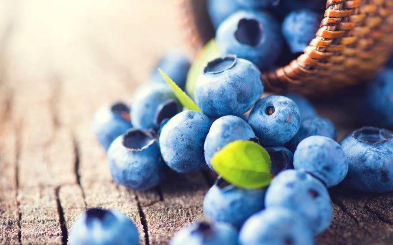 blueberry nedir sorusunun yanıtı niteliğinde hasır bir sepetten ahşap zemine dökülmüş blueberry taneleri