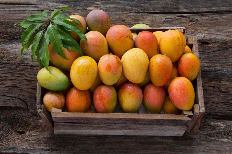 bir kasa dolusu taze mango meyvesi